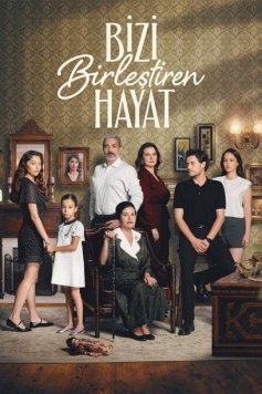 Bizi Birleştiren Hayat