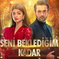 Seni Beklediğim Kadar