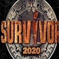 Survivor 2020