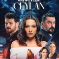 Sustalı Ceylan