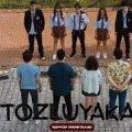 Tozluyaka